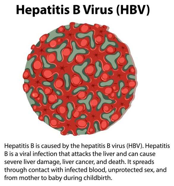 Роль антител IgG в защите от Varicella zoster virus